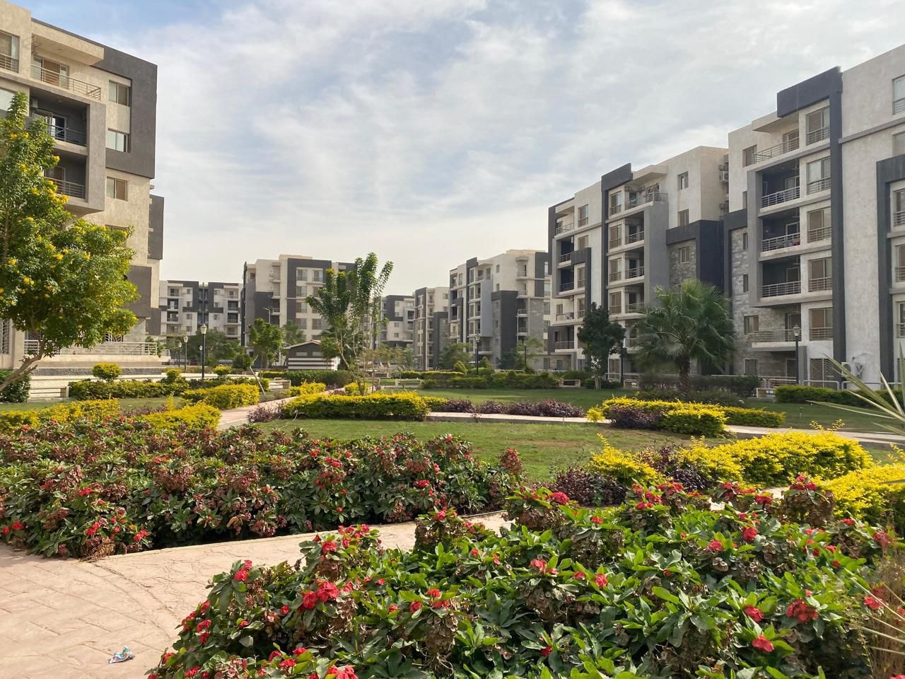 المهندس شريف الشربيني0