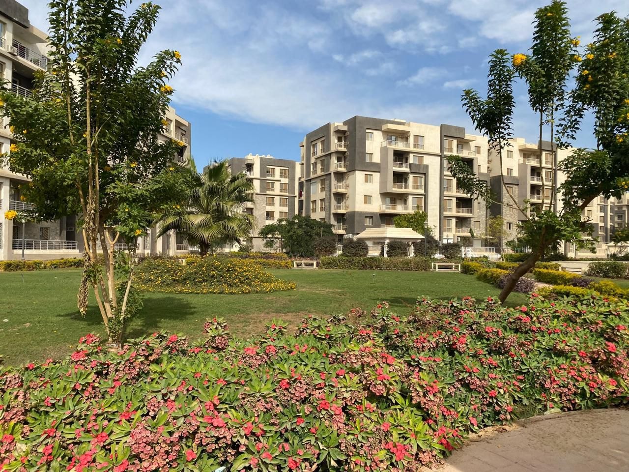 المهندس شريف الشربيني1