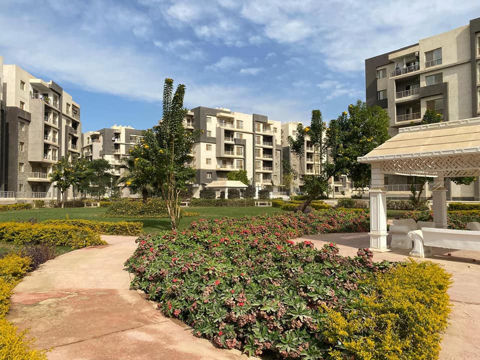 المهندس شريف الشربيني2