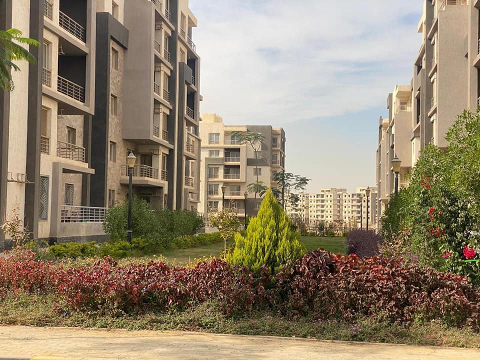 المهندس شريف الشربيني3