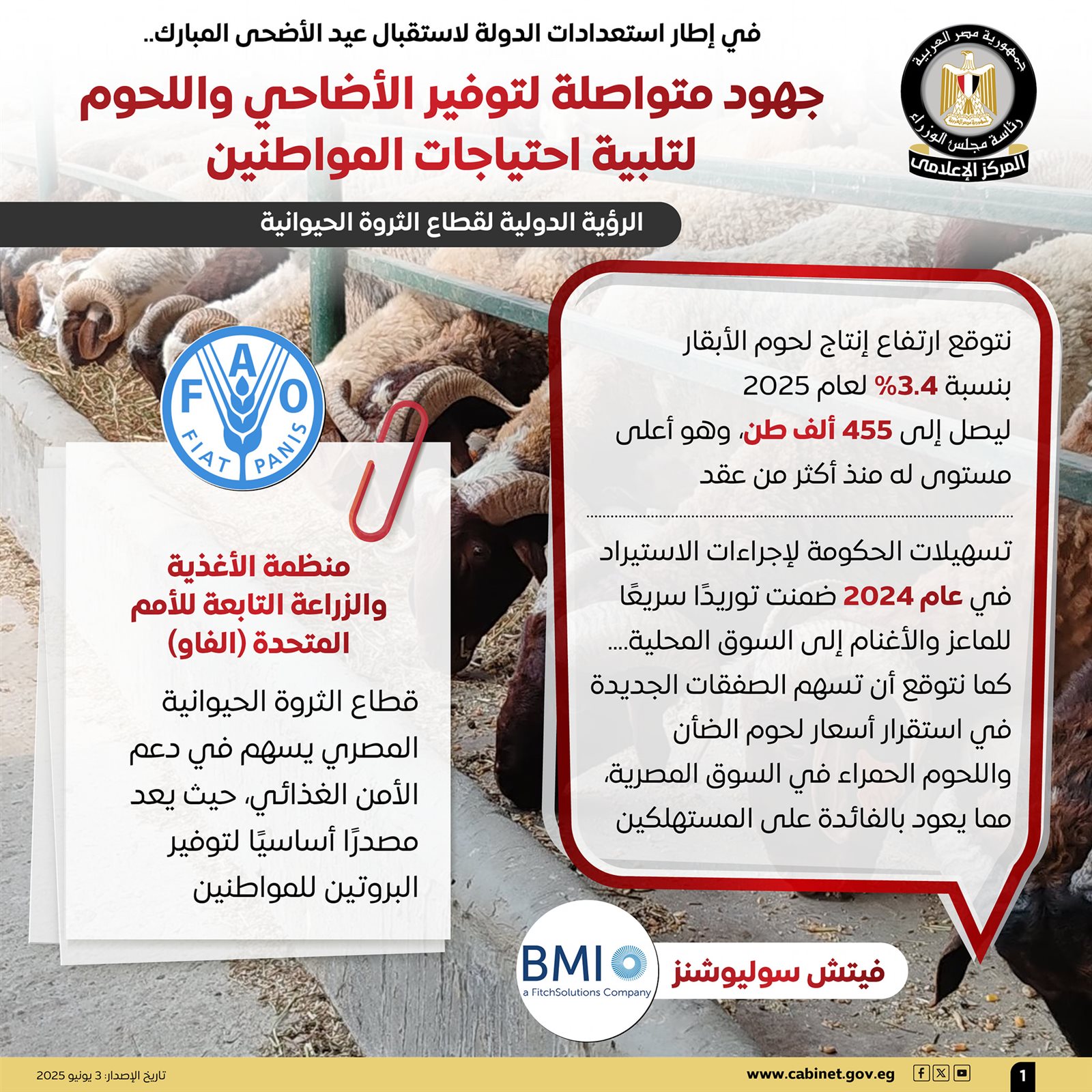 المركز الإعلامي لمجلس الوزراء جهود متكاملة لتوفير الأضاحي واللحوم بأسعار مناسب