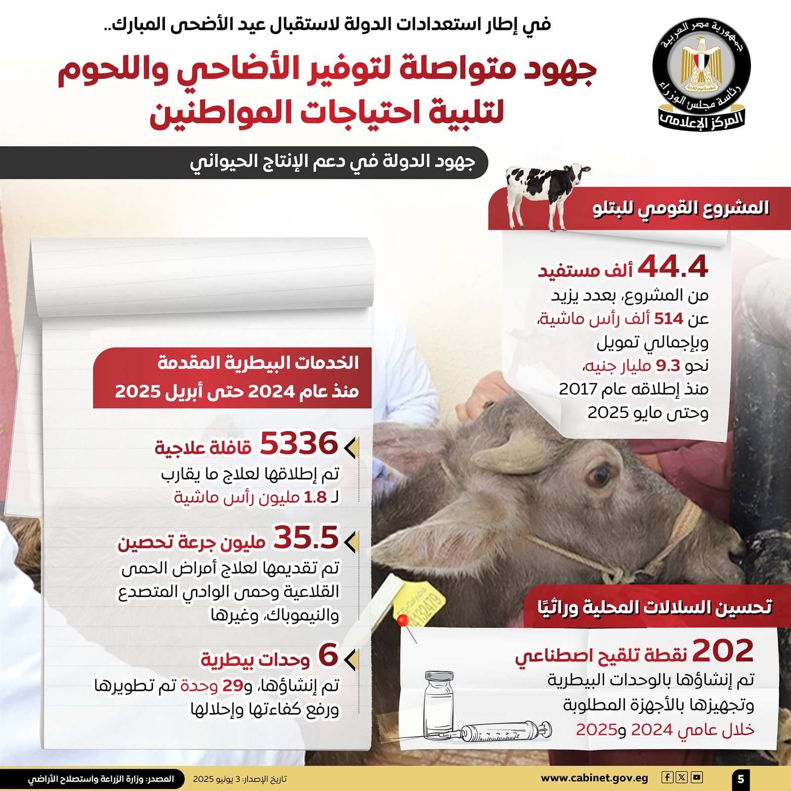 المركز الإعلامي لمجلس الوزراء جهود متكاملة لتوفير الأضاحي