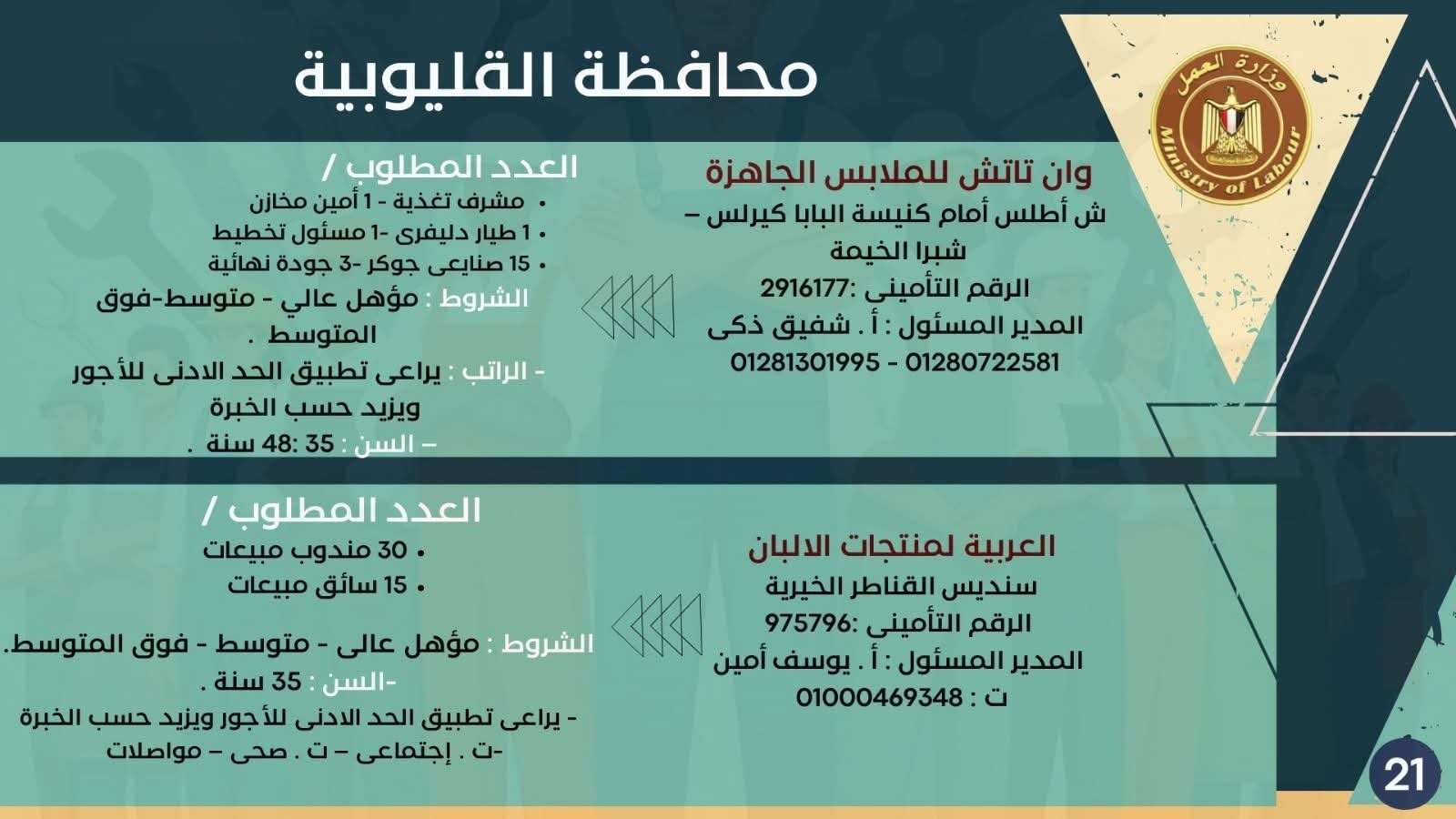 نشرة التوظيف وزارة العمل