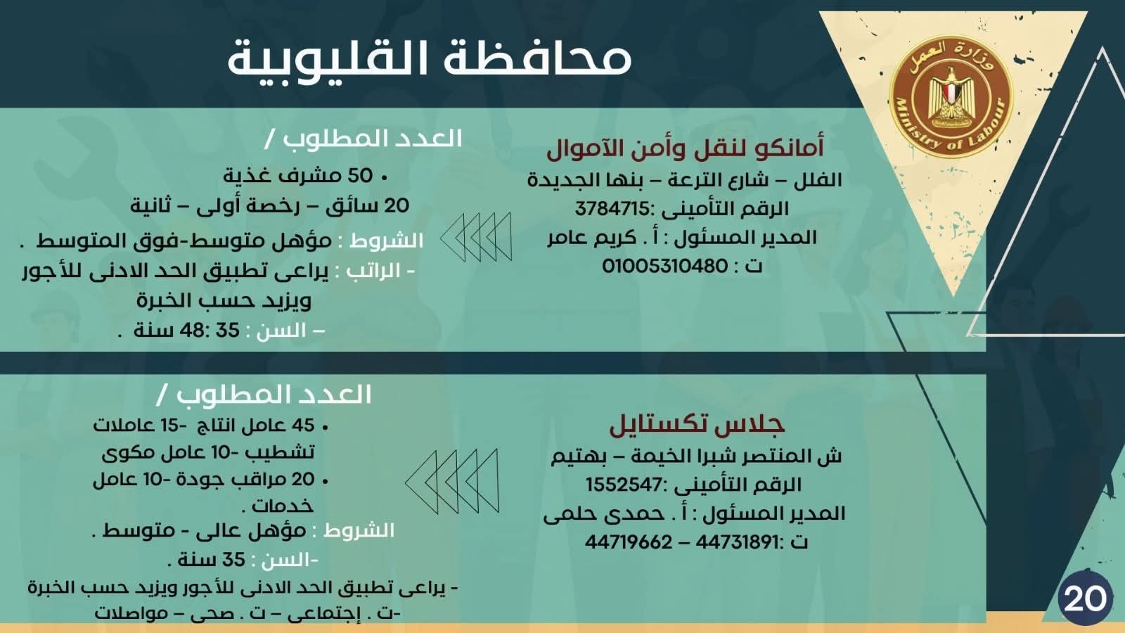 نشرة التوظيف وزارة العمل