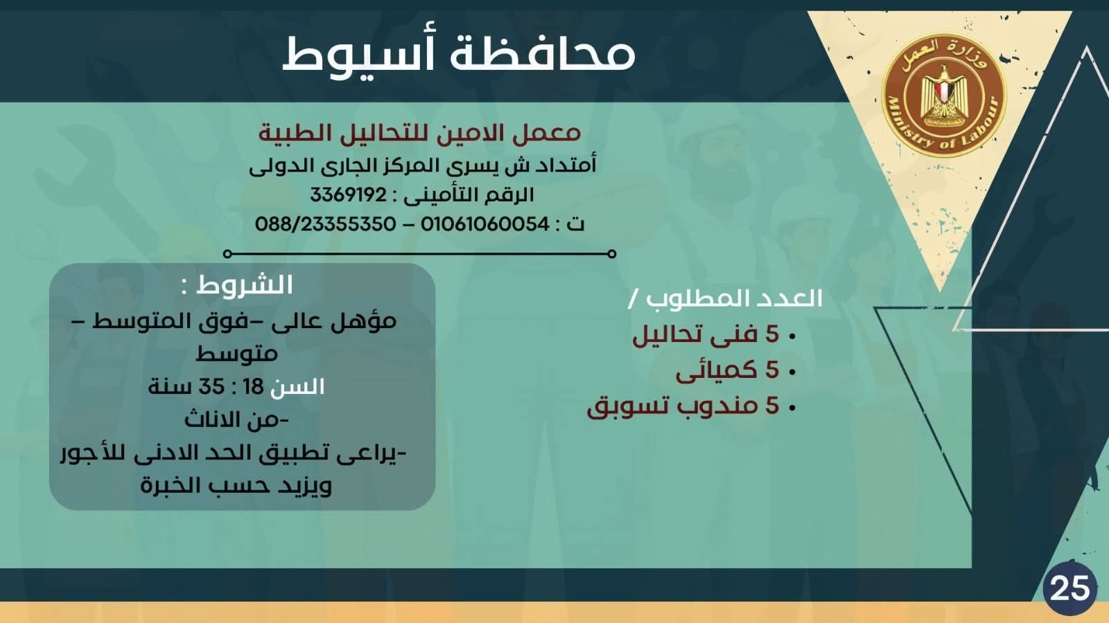 نشرة التوظيف وزارة العمل