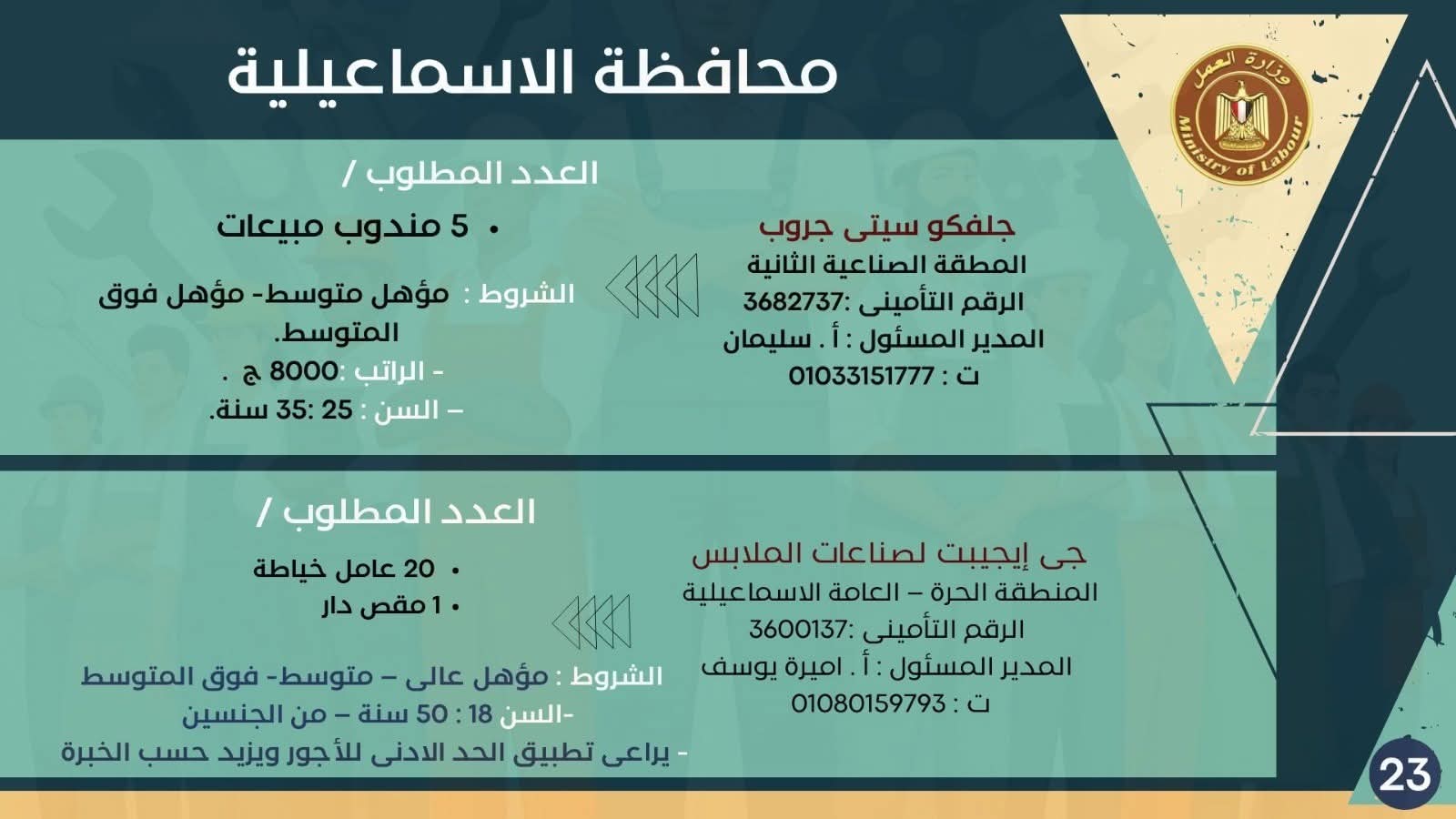 نشرة التوظيف وزارة العمل