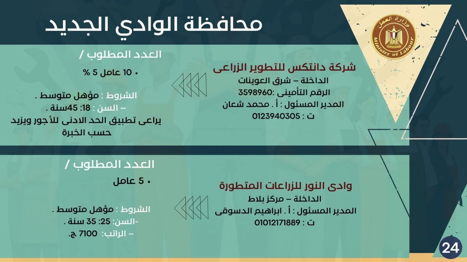 نشرة التوظيف وزارة العمل