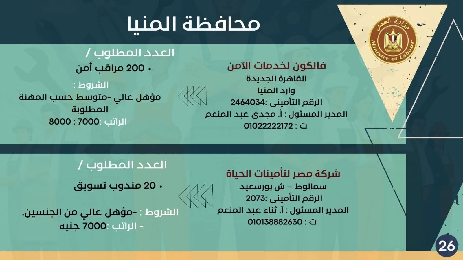 نشرة التوظيف وزارة العمل