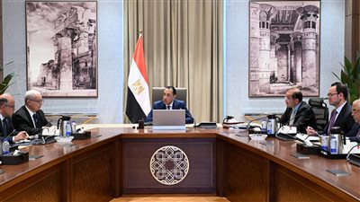 خطة تخارج الدولة تتقدم.. ومدبولي يتابع الموقف التنفيذي للشركات المستهدفة