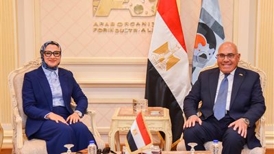 العربية للتصنيع تتوسع في الوادي الجديد.. مشروعات جديدة لدعم التنمية وتشغيل الشباب