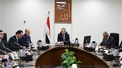 رئيس الوزراء يستعرض الرؤية المقترحة لتطوير زراعة وصناعة الكتان في مصر
