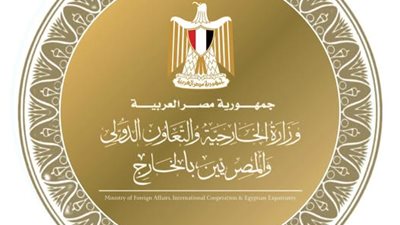 وزير الخارجية يبحث مع نظرائه في 4 دول عربية تطورات المنطقة و