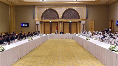 مستثمري الإمارات: نتطلع لوصول الاستثمارات في مصر لـ35 مليار دولار خلال 5 سنوات