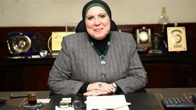 وزيرة التجارة تقرر مد قرار فرض رسوم إغراق على واردات الحديد من 3 دول
