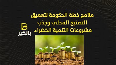 ملامح خطة الحكومة لتعميق التصنيع المحلي وجذب مشروعات التنمية الخضراء