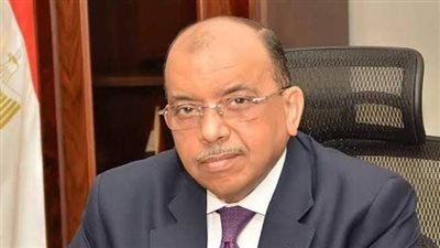 شعراوي: رفع الحد الأقصى لقروض صندوق التنمية المحلية إلى 60 ألف جنيه