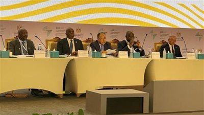 معيط: ضخ 291.8 مليون دولار لتطوير ورقمنة البنك وتمويل صندوق تنمية الصادرات بأفريقيا