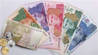 استمرار انخفاض الروبية الباكستانية.. وتنخفض 8% في أسبوع