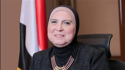 تنمية المشروعات: معرض 