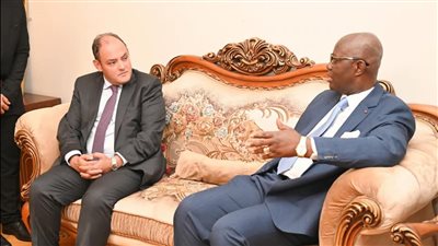 وزير الصناعة: تعزيز التعاون الاقتصادي والاستثماري المشترك مع دول القارة الأفريقية