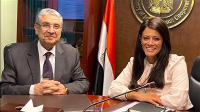 وزيرا التعاون الدولي والكهرباء يبحثان مشروعات الطاقة ضمن المنصة الوطنية للمشروعات الخضراء