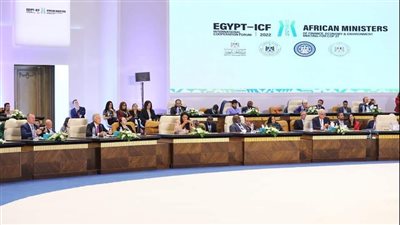 صندوق ديفيد روكفلر يؤكد حتمية مساهمة المجتمع المدني في تمويلات مواجهة التغير المناخي