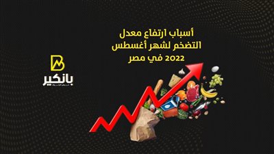 أسباب ارتفاع معدل التضخم لشهر أغسطس 2022 في مصر