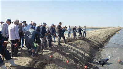 القناة للاستزراع المائي: فبراير المقبل انتهاء تطوير 272 حوض على مساحة 560 فدانا