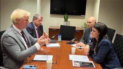 المشاط تبحث مع نائب رئيس سيتي سبل تحفيز الاستثمارات بالمشروعات الخضراء