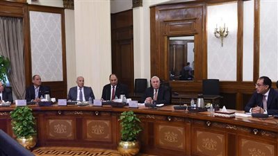 الحكومة: التنسيق مع البنك المركزي  لسرعة الإفراج عن أكبر قدر ممكن من الأعلاف 