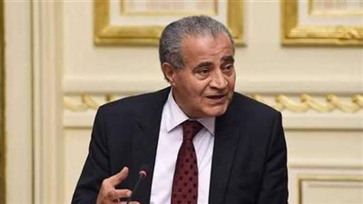 المصيلحي: توجيهات الرئيس لدعم المواطنين الأكثر احتياجا جاءت في وقتها