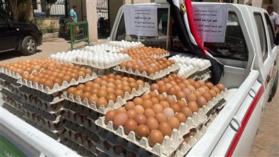 الزراعة: توفير البيض بأسعار تصل إلى 73 جنيهاً للطبق