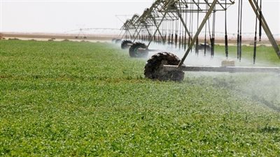 المؤتمر الاقتصادي 2022.. وضع معالم لخارطة طريق لتعظيم الإنتاج الزراعي وتعزيز الاكتفاء الذاتي