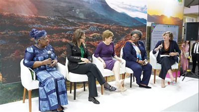 التخطيط: الشراكة بين القطاعين العام والخاص أداة فعالة ومبتكرة في تمويل المشروعات المتعلقة بالمناخ