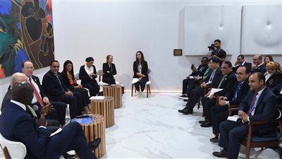 مدير مؤسسة التمويل الدولية: مصر لديها استراتيجية طموحة لمكافحة التغير المناخي