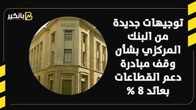 توجيهات جديدة من البنك المركزي بشأن وقف مبادرة دعم القطاعات بعائد 8% | فيديو 