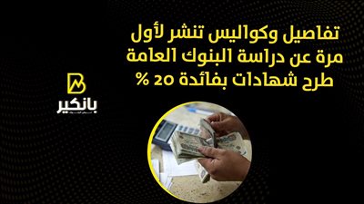تفاصيل وكواليس تنشر لأول مرة عن دراسة البنوك العامة طرح شهادات بفائدة 20 % | فيديو 