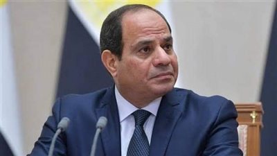 الرئيس السيسي يوجه بالمحافظة على استمرارية المخزون الاستراتيجي من السلع الغذائية الرئيسية