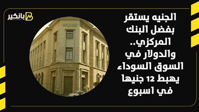 الجنيه يستقر بفضل البنك المركزي.. والدولار في السوق السوداء يهبط 12 جنيها في اسبوع