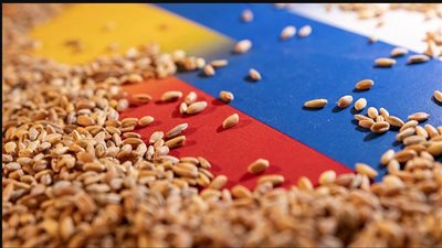 اضطراب صادرات الحبوب الروسية يرفع مخاوف الأسواق العالمية من نقص الإمدادات