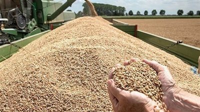 إنشاء مركز لوجستي عالمي لتخزين وتوزيع الحبوب بميناء شرق بورسعيد