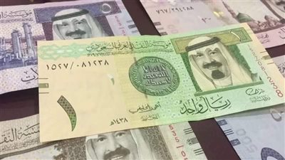 سعر الريال السعودي اليوم السبت 17-8-2024 في البنك المركزي المصري