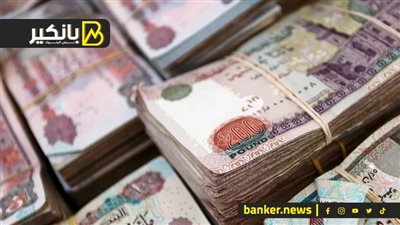 منافسة بين البنوك المصرية.. لجذب الأثرياء بعيدًا عن الذهب والعقارات