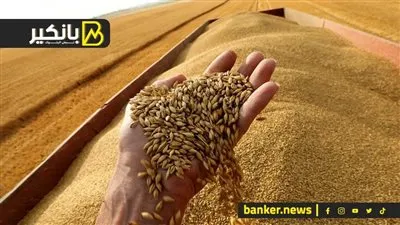 بسبب استهداف الموانئ.. تراجع حاد في توقعات صادرات القمح الأوكراني لموسم 2026