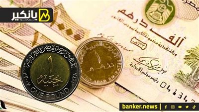 سعر الدرهم الإماراتي أمام الجنيه المصري في تعاملات اليوم الأربعاء 24-7-2024
