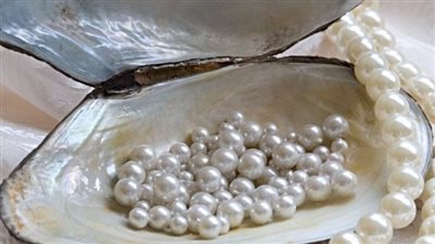 قفزة تاريخية.. صادرات مصر من اللؤلؤ والأحجار الكريمة تتخطى 6 مليارات دولار