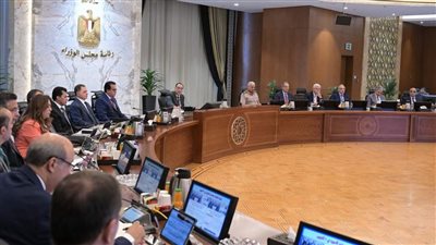 مجلس الوزراء يوافق على إقامة 3 مشروعات للعمل بنظام المناطق الحرة الخاصة