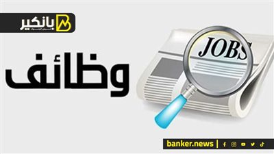 هتقبض 123 ألف جنيه.. 300 فرصة عمل للمصريين فى هذه الدولة | هذه الشروط 