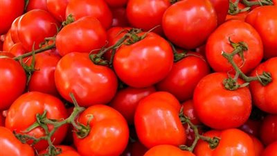 ارتفاع الطماطم وانخفاض البطاطس.. أسعار الخضروات اليوم السبت 28 ديسمبر 