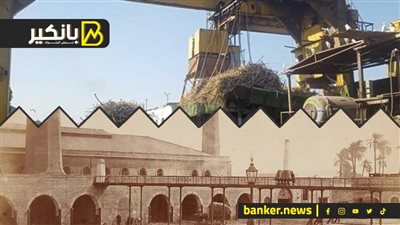 عاد للحياة بعد الموت.. قصة إعادة تشغيل مصنع سكر أبو قرقاص بعد توقفه لأول مرة منذ 155 عاما